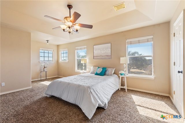 1021 Canna Lily Circle, Driftwood, TX 78619
