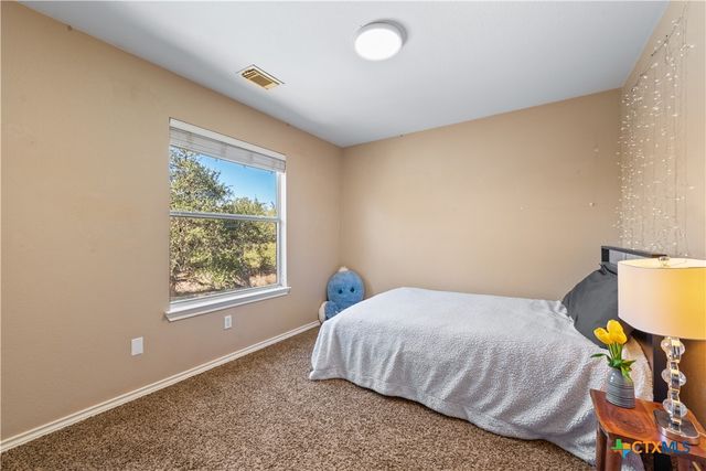 1021 Canna Lily Circle, Driftwood, TX 78619