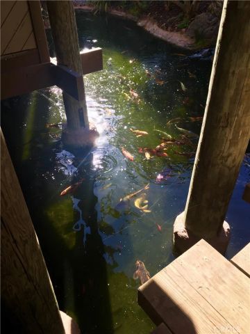 999 N Pacific Street C211, Oceanside, CA 92054