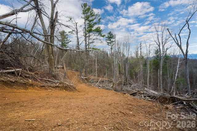 99999 Elk Mountain Scenic Highway 2, Asheville, NC 28804