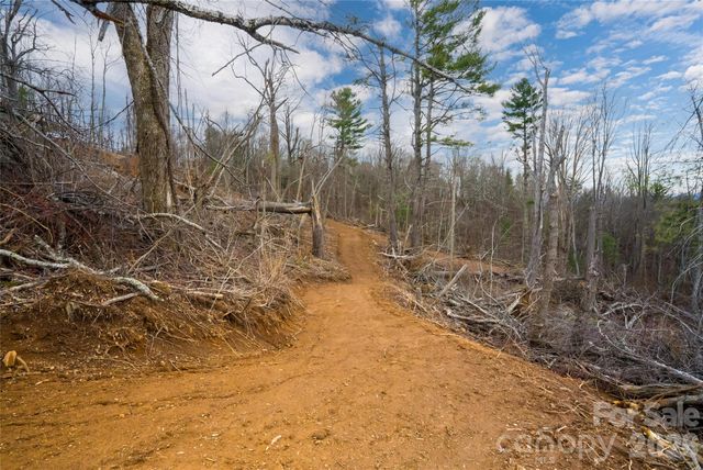 99999 Elk Mountain Scenic Highway 2, Asheville, NC 28804