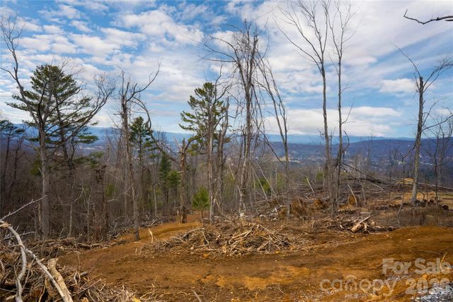 99999 Elk Mountain Scenic Highway 2, Asheville, NC 28804