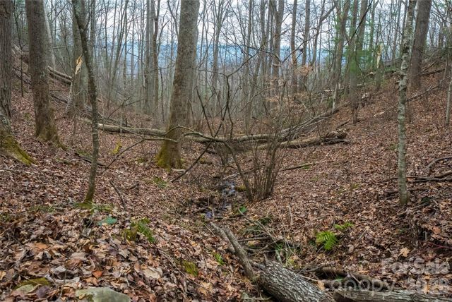 99999 Elk Mountain Scenic Highway 2, Asheville, NC 28804