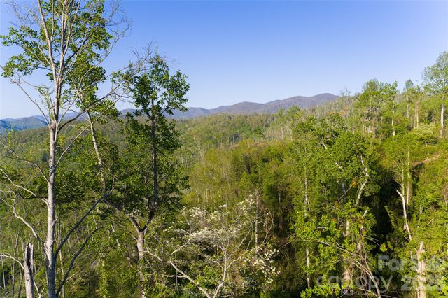 99999 Elk Mountain Scenic Highway 2, Asheville, NC 28804