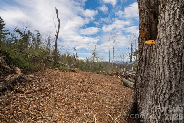 99999 Elk Mountain Scenic Highway 2, Asheville, NC 28804