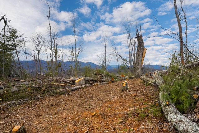 99999 Elk Mountain Scenic Highway 2, Asheville, NC 28804