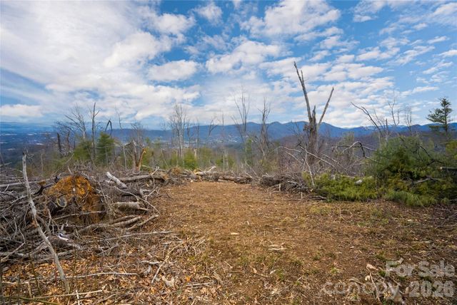 99999 Elk Mountain Scenic Highway 2, Asheville, NC 28804