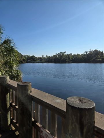 8010 CONSERVATORY DRIVE, Sarasota, FL 34243