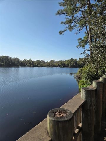 8010 CONSERVATORY DRIVE, Sarasota, FL 34243