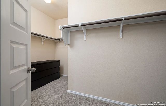 2455 Pink Pearl, San Antonio, TX 78224