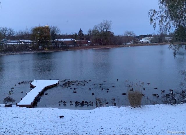 16280 Softwater Lake Drive, Argentine Township, MI 48451