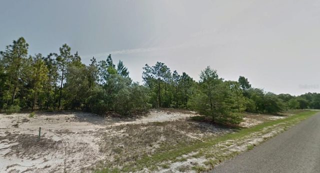 3499 W WEBSTER PLACE, Citrus Springs, FL 34433