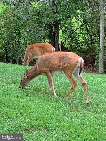 62 BROOKE CREST LN, Stafford, VA 22554