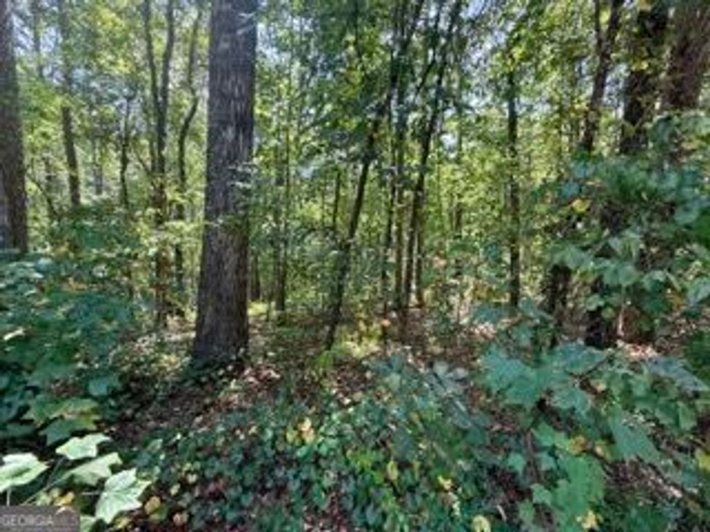 40 Crescent Drive, Toccoa, GA 30577 — photo 2
