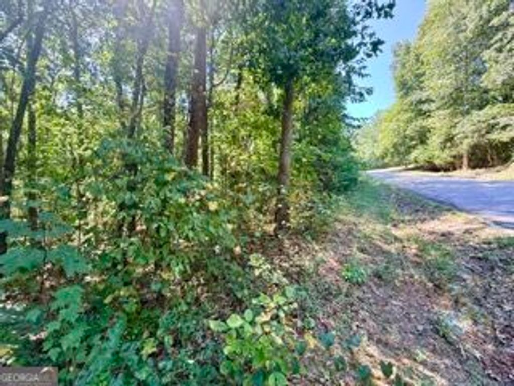 40 Crescent Drive, Toccoa, GA 30577 — photo 3