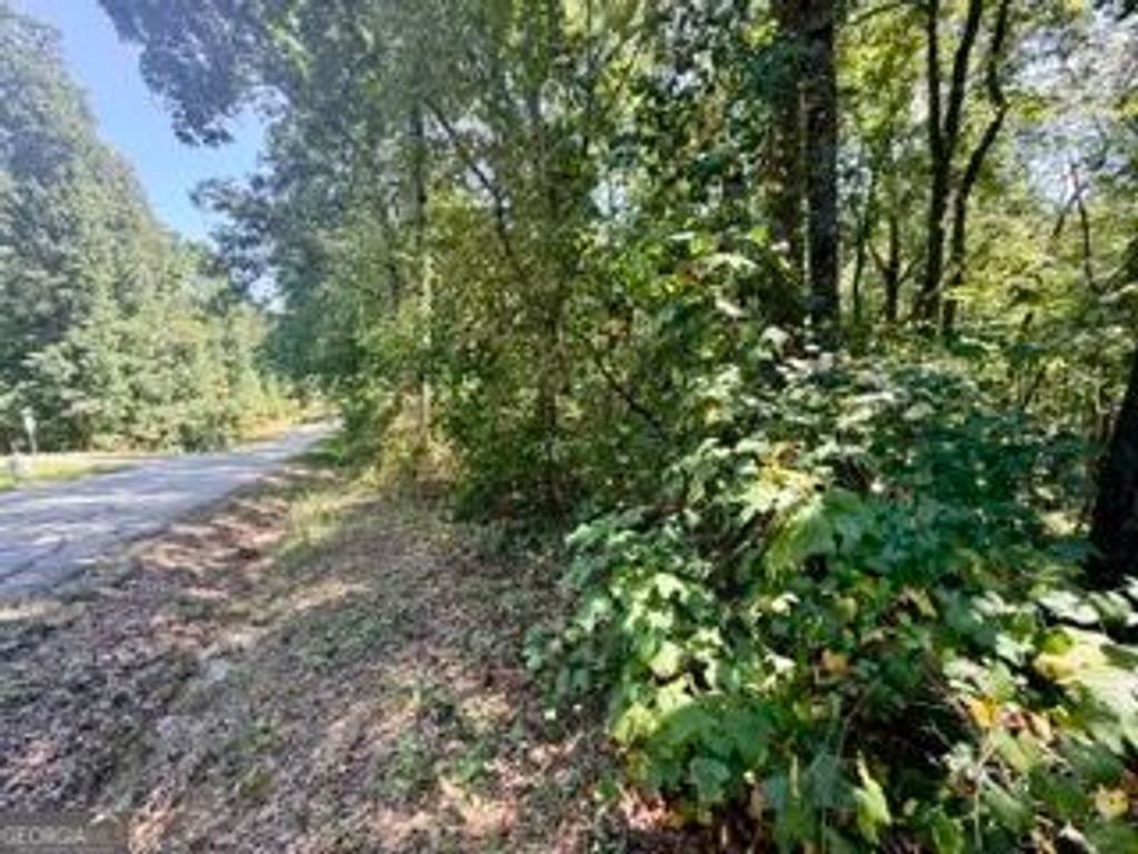 40 Crescent Drive, Toccoa, GA 30577 — photo 4