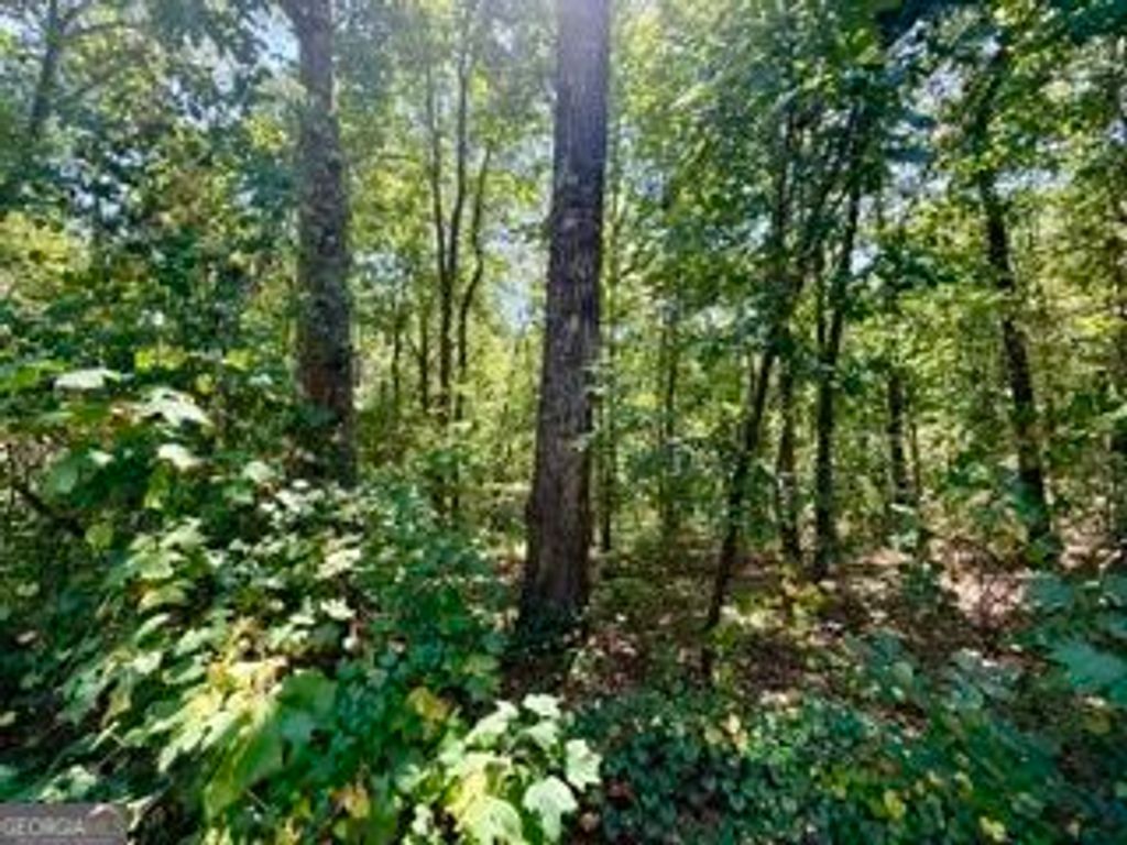 40 Crescent Drive, Toccoa, GA 30577 — photo 5