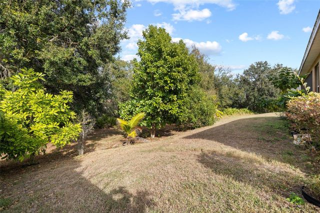 10925 ROCKLEDGE VIEW DRIVE, Riverview, FL 33579