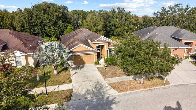 10925 ROCKLEDGE VIEW DRIVE, Riverview, FL 33579