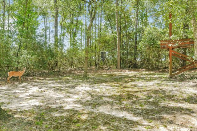 4046 Highland Pass, Montgomery, TX 77316