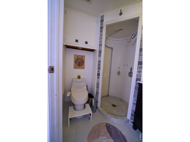 2828 Mango Pl, Loveland, CO 80537