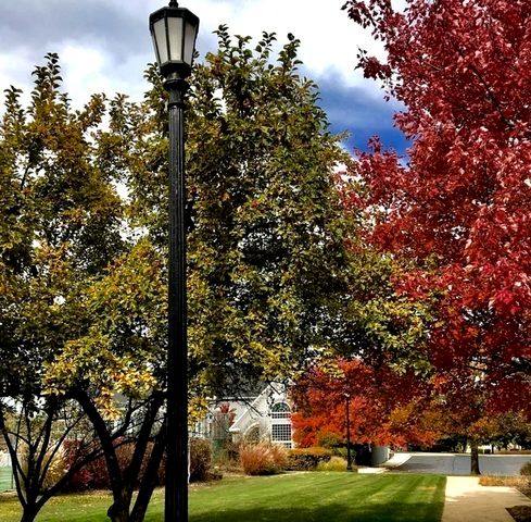 Address unavailable.