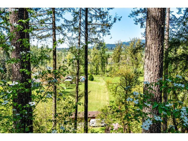 88154 TIKI Ln, Springfield, OR 97478