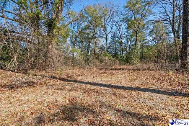 3094 Cobblestone St., Florence, SC 29506