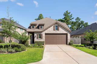 421 Soapberry Tree Court, Willis, TX 77318