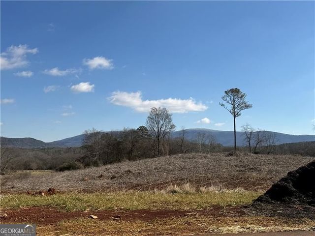 111 Palisade Drive, Rydal, GA 30171