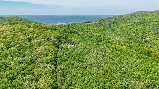 1867 Big Ridge Road, Spring City, TN 37381