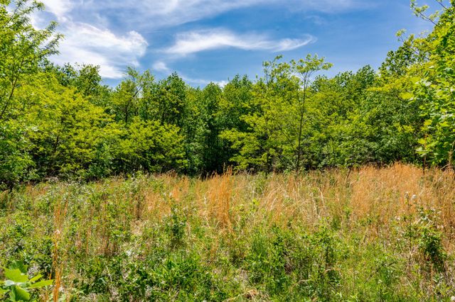 1867 Big Ridge Road, Spring City, TN 37381