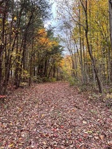 1867 Big Ridge Road, Spring City, TN 37381