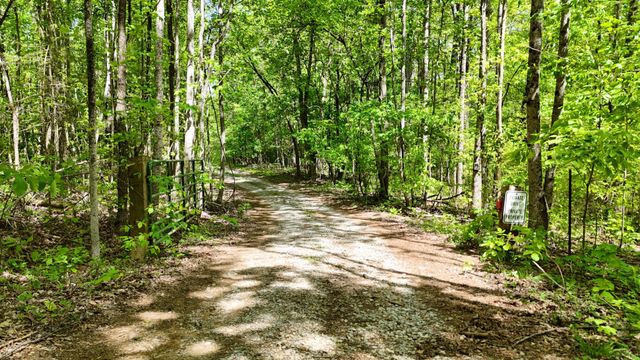 1867 Big Ridge Road, Spring City, TN 37381