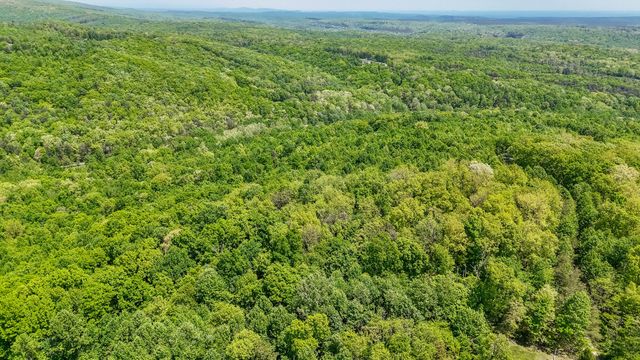1867 Big Ridge Road, Spring City, TN 37381