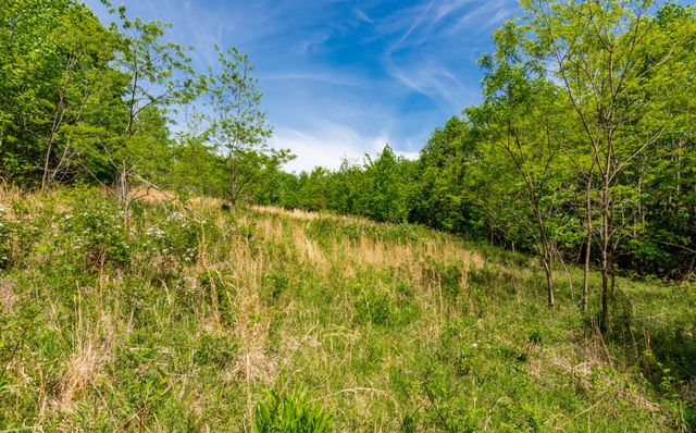 1867 Big Ridge Road, Spring City, TN 37381
