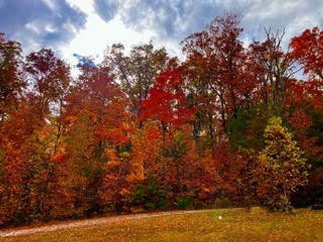 1867 Big Ridge Road, Spring City, TN 37381