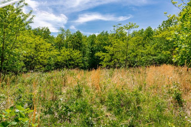 1867 Big Ridge Road, Spring City, TN 37381