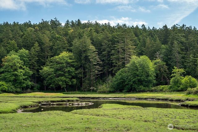 3757 Mud Bay Road, Lopez Island, WA 98261