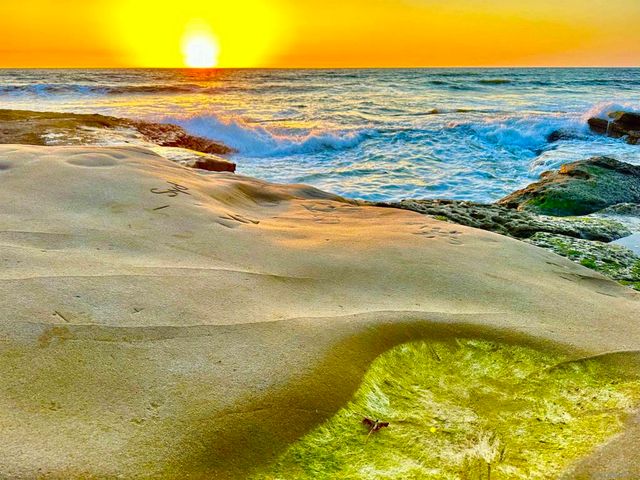 4985 89 Narragansett Ave, San Diego, CA 92107