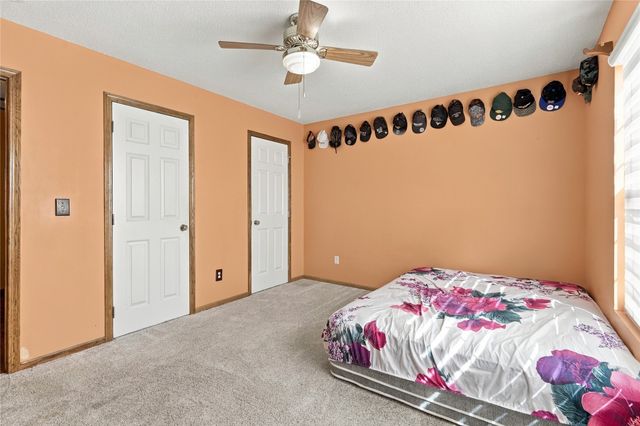 1411 SE Wanda Drive, Ankeny, IA 50021