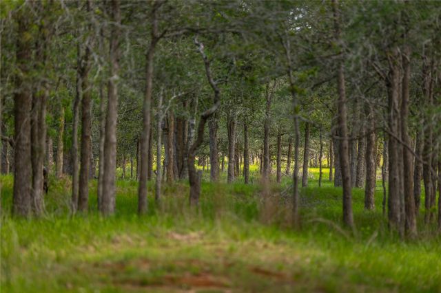 4082 Old Colony Line RD, Lockhart, TX 78643
