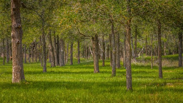 4082 Old Colony Line RD, Lockhart, TX 78643