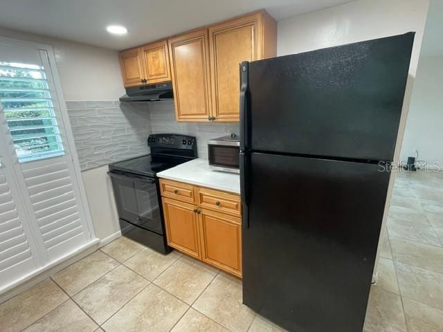 1005 W GRACE STREET, Tampa, FL 33607