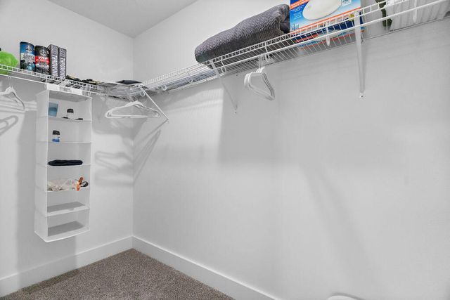 146 Sapling Drive, Branson, MO 65616