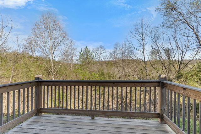 146 Sapling Drive, Branson, MO 65616