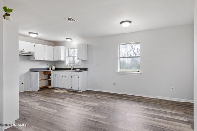 12017 Judge Doucet Road, Abbeville, LA 70510