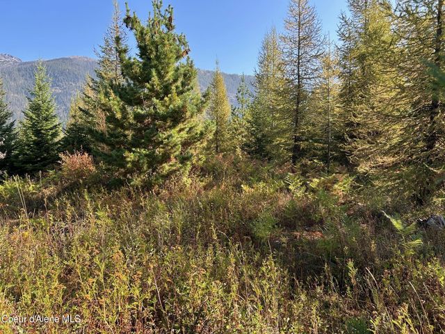NKA Tract 6 USFS 2294, Clark Fork, ID 83811