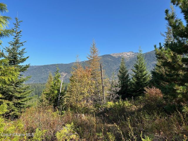 NKA Tract 6 USFS 2294, Clark Fork, ID 83811