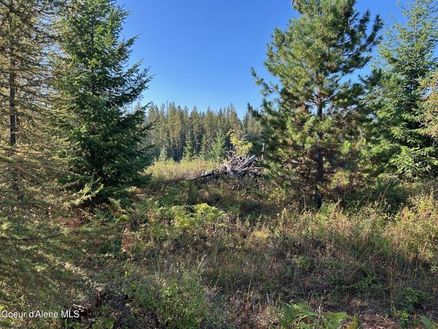 NKA Tract 6 USFS 2294, Clark Fork, ID 83811